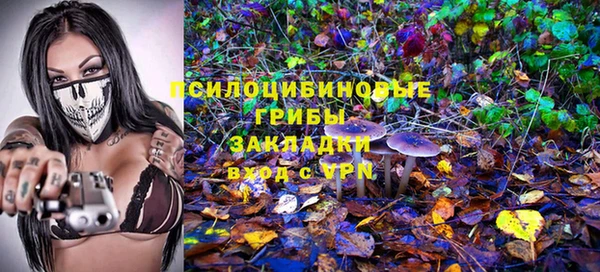 PSILOCYBIN Волоколамск